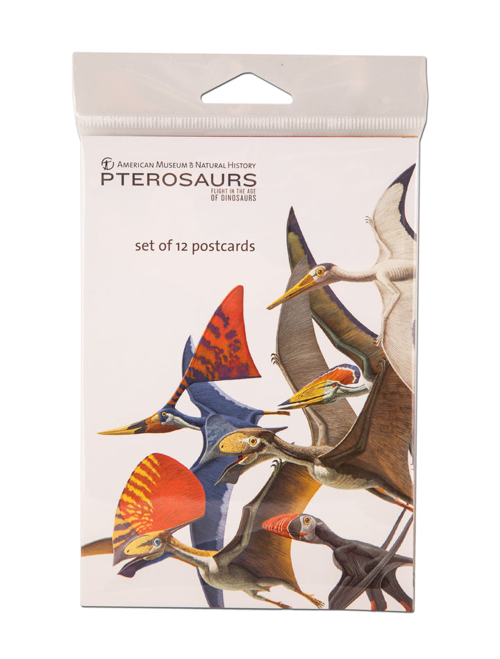 Pterosaur Postcard Set