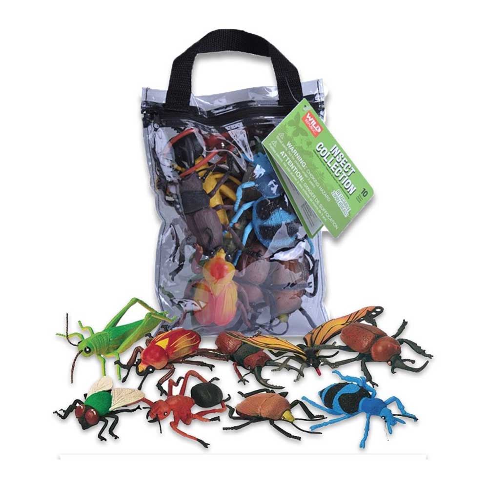 10 Piece Insect Collection