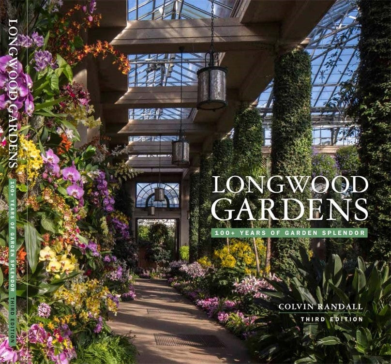 WeWOOD Date Brown Watch