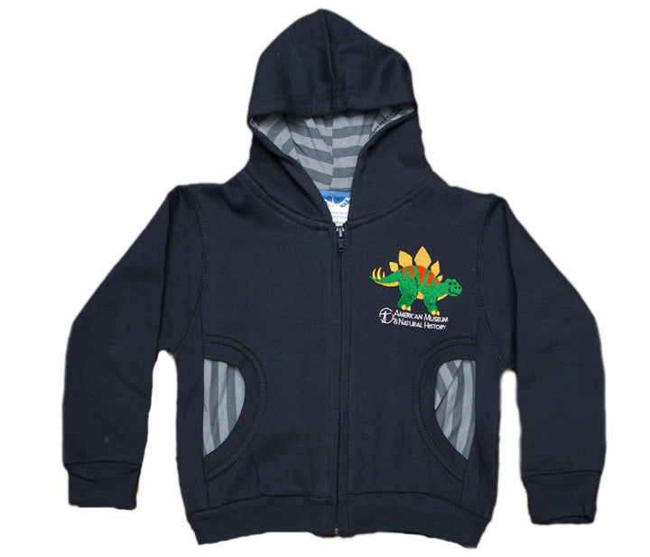 Boy's Dino Hooded Sweatshirt