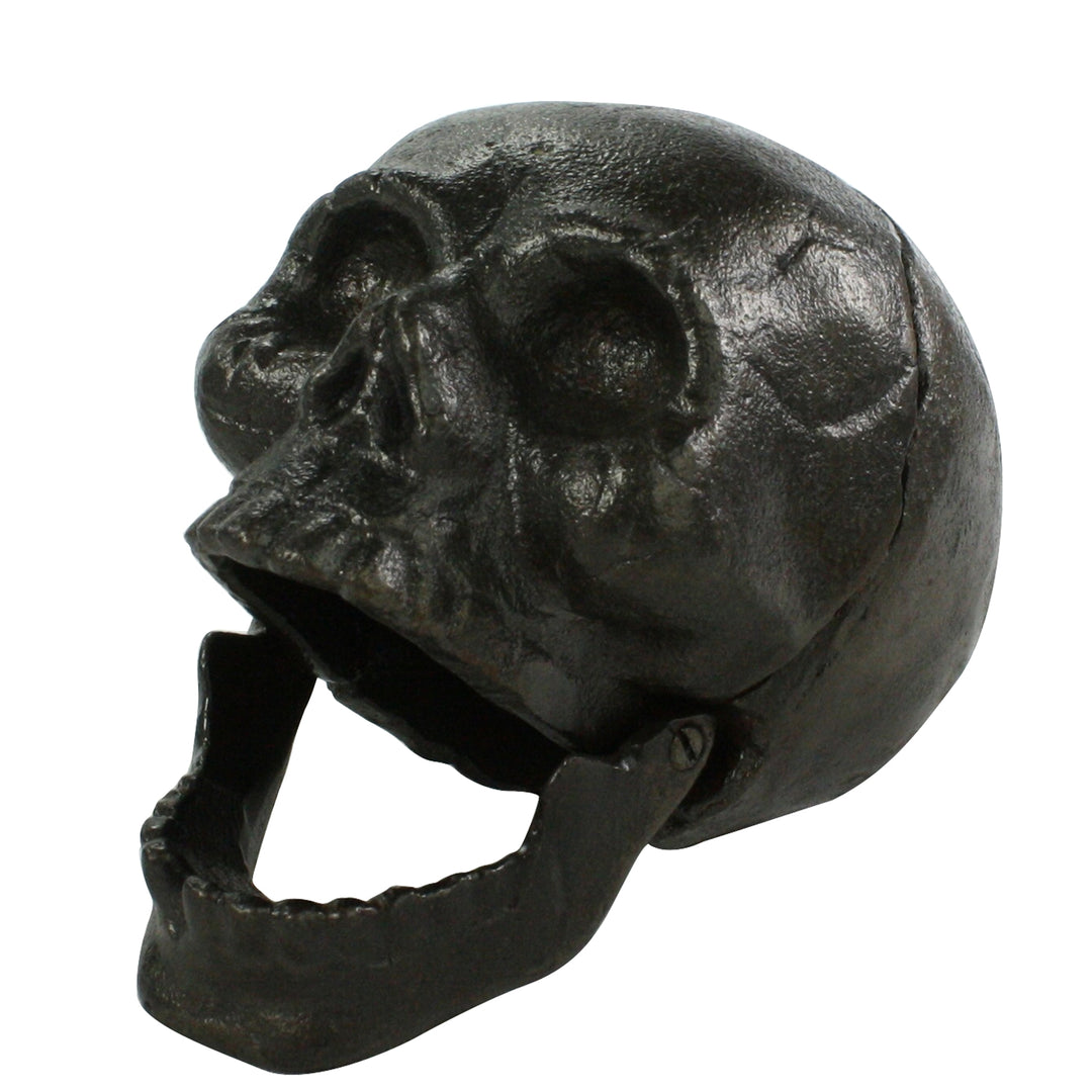 Cast Iron Skull
