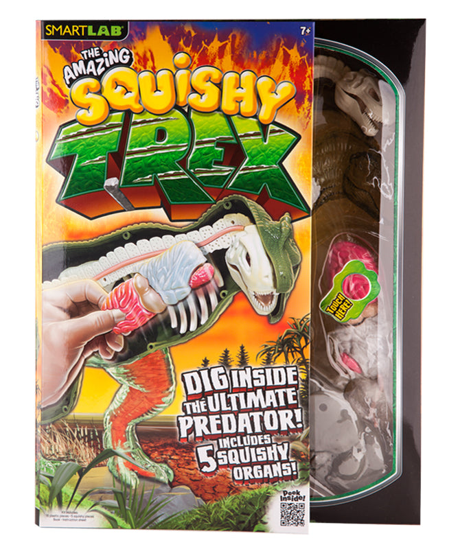 Squishy T. rex Model