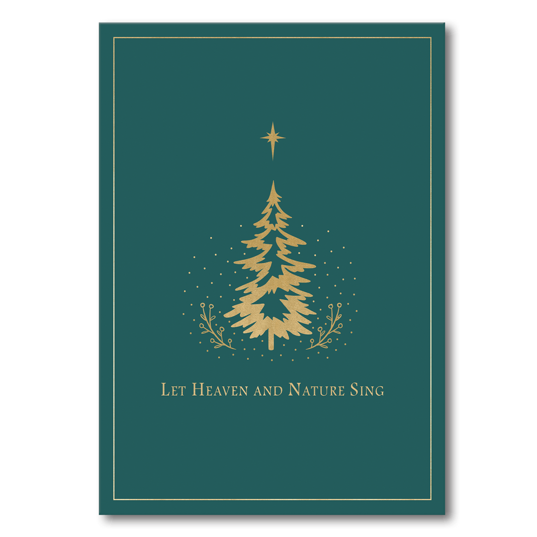 Assorted Butterfly Kites