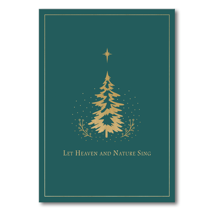 Assorted Butterfly Kites