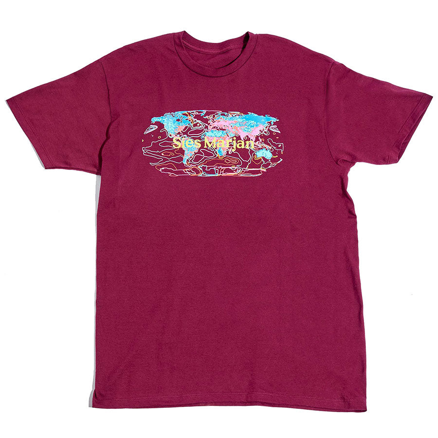 Koi Fish Ornament Ball