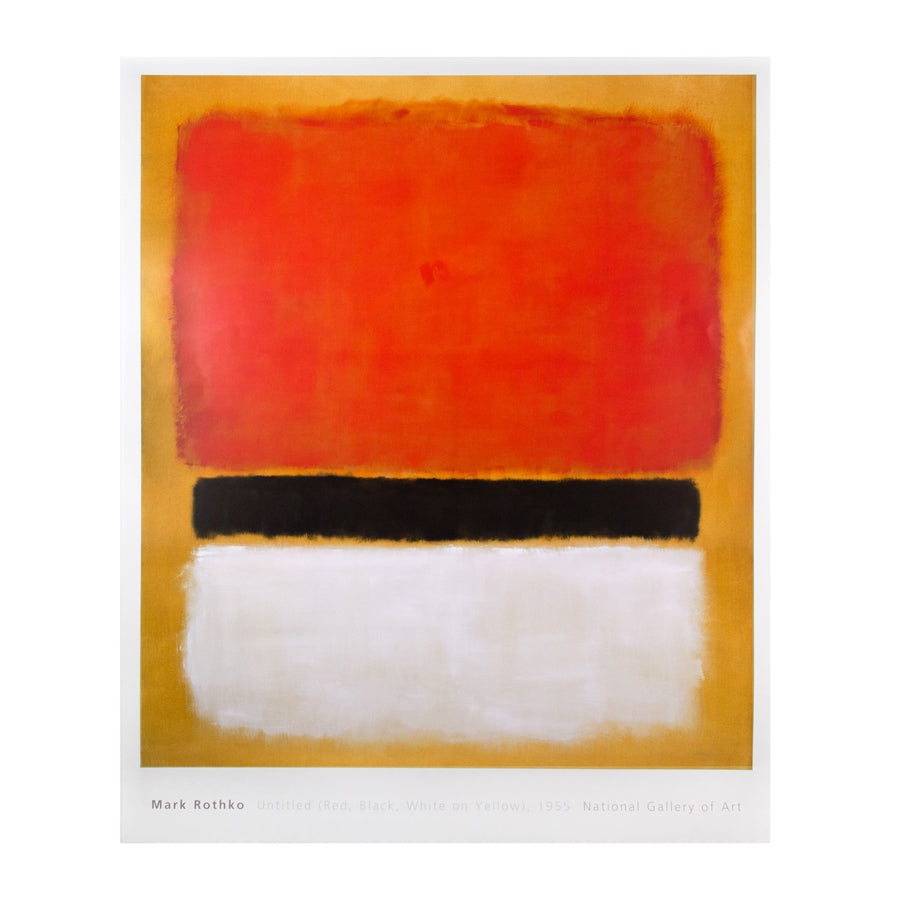 Thames & Kosmos The Human Body