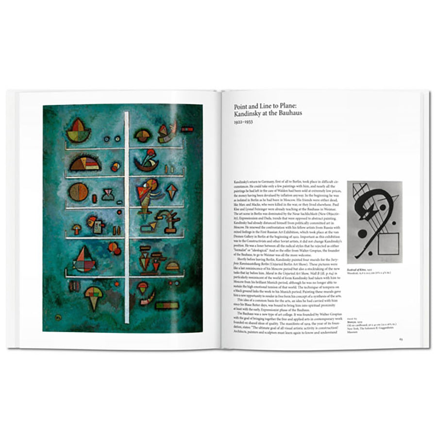 Extraordinary Birds Apron