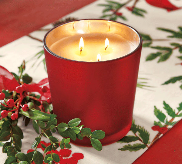 Pine Spice Triple Wick Candle