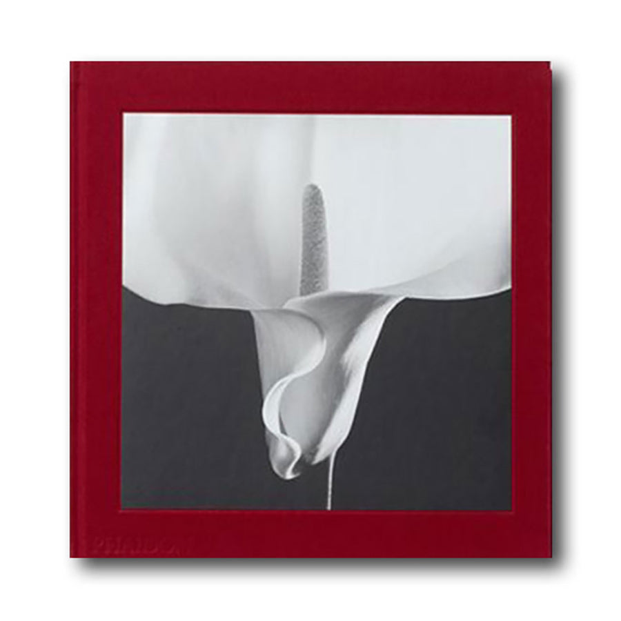 Skull Decanter and Tumbler Set