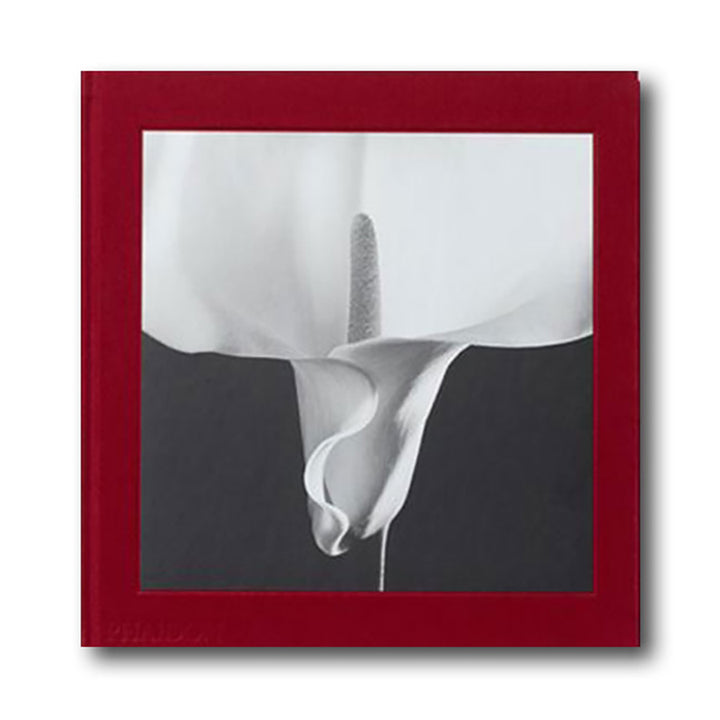 Skull Decanter and Tumbler Set