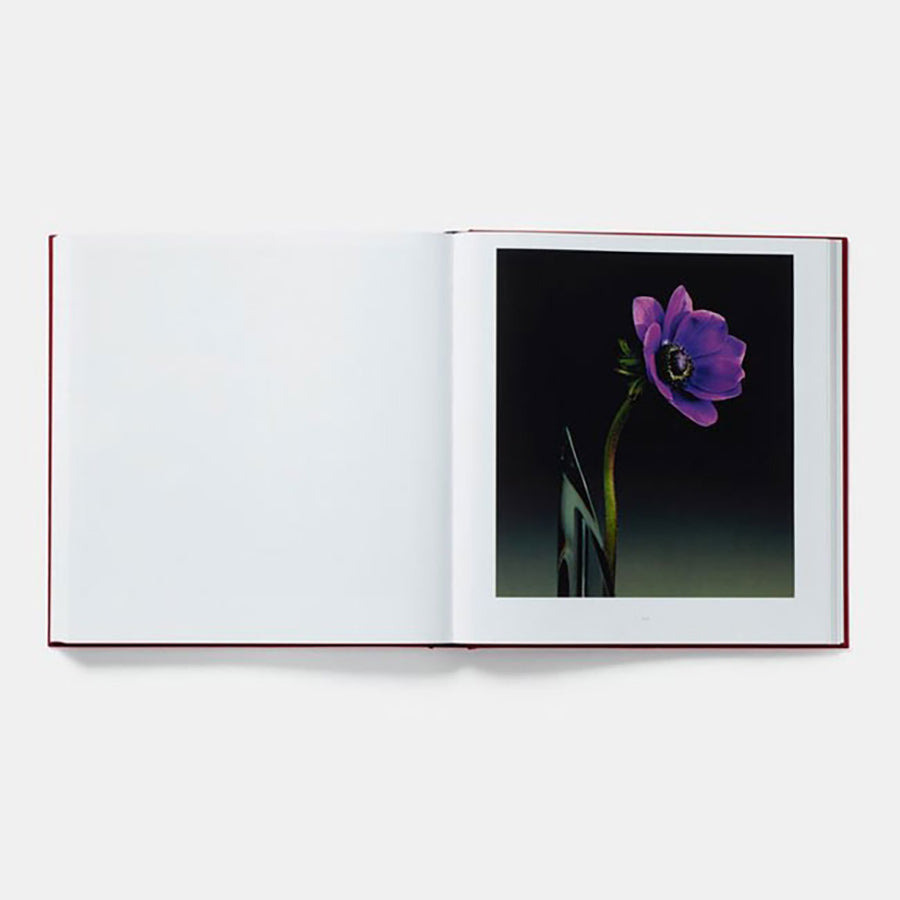 Skull Decanter and Tumbler Set