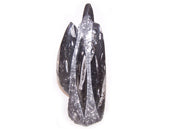 Orthoceras Fossil in Limestone Matrix Statue