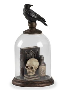 Skull and Crow Curio