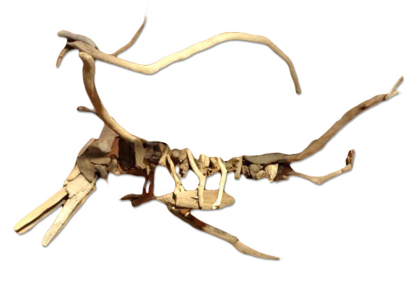 Pterodactyl Driftwood Figure