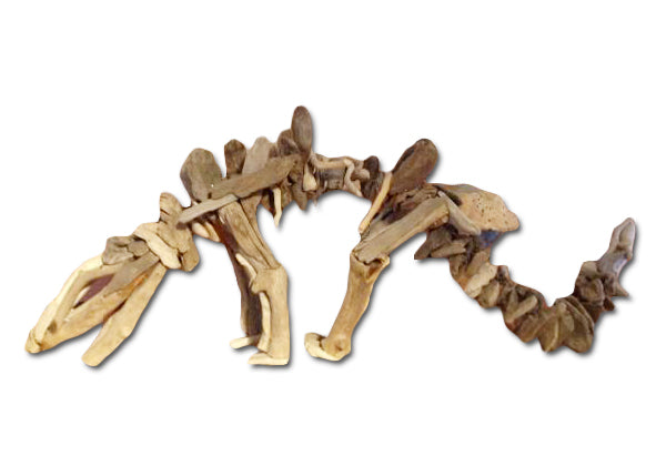Stegosaurus Driftwood Figure