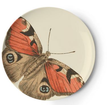 Small Assorted Butterfly Plates
