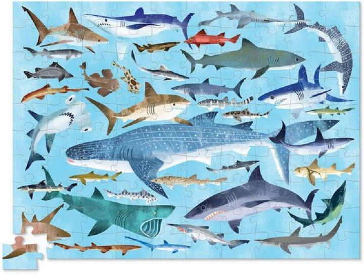Shark World 36 Sharks Puzzle