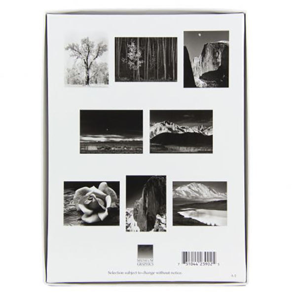 Pterosaur Origami Latte Mug