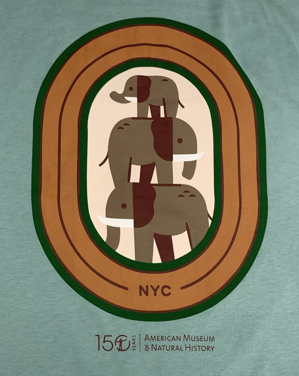 Adult Eco-Friendly Stacked Elephants LS T-Shirt