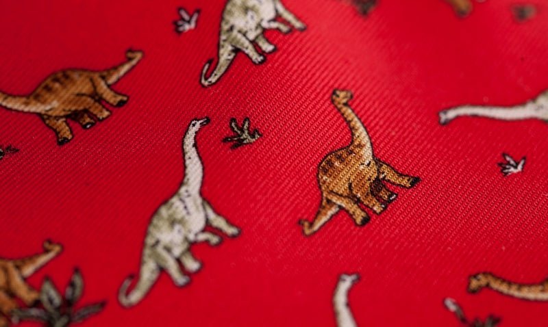 Silk Dinosaur Boxed Tie