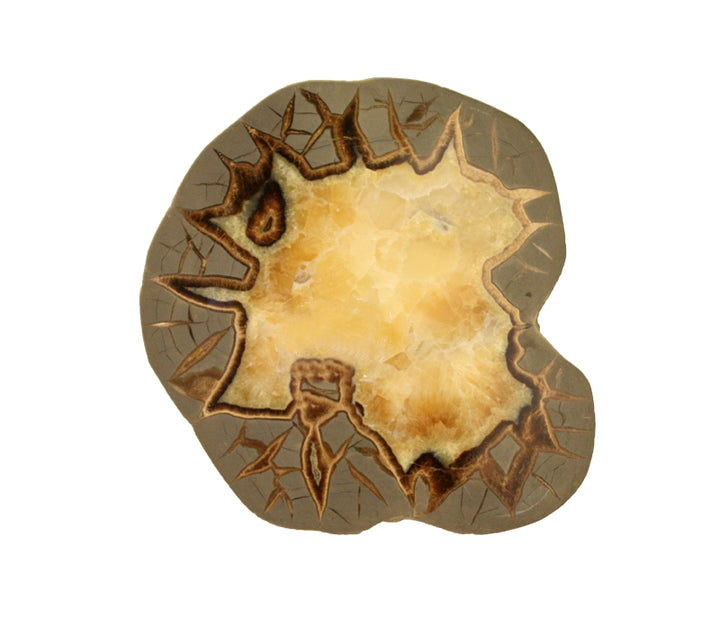 Septarian Slab