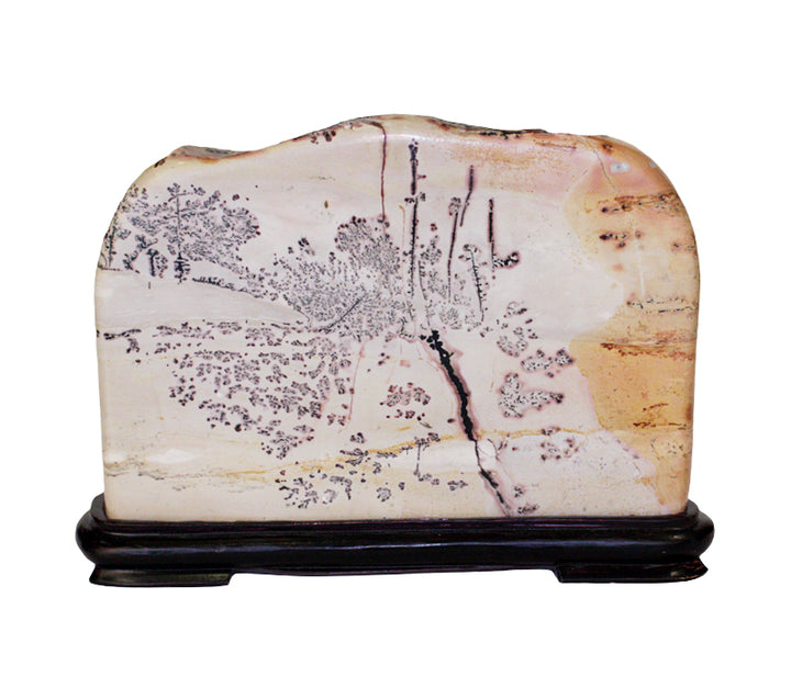 Chinese Picture Jasper