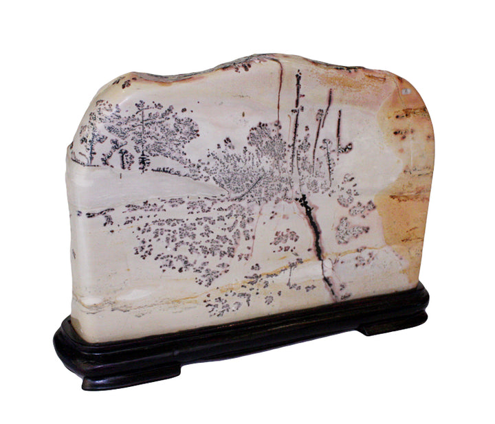 Chinese Picture Jasper