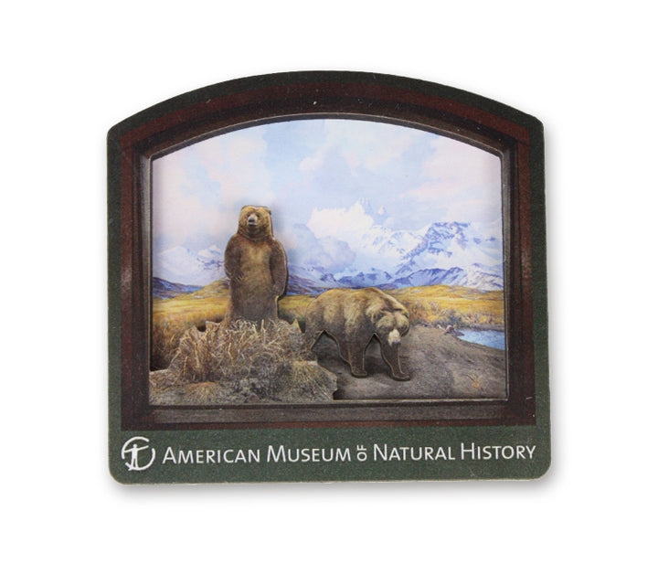 AMNH Alaska Brown Bear Diorama Magnet