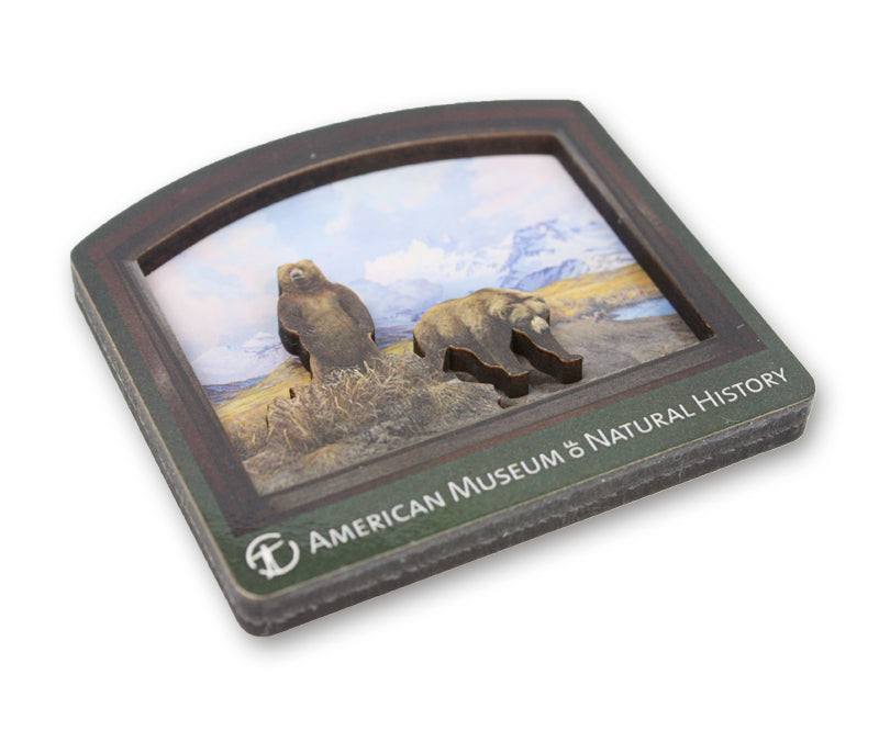 AMNH Alaska Brown Bear Diorama Magnet