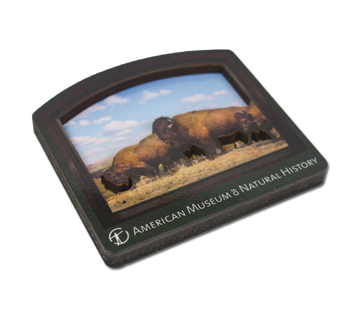 AMNH Bison Diorama Magnet