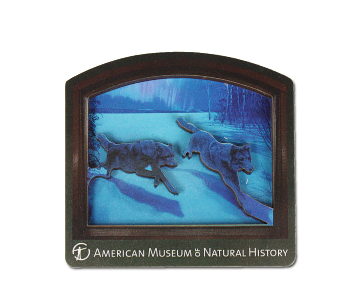AMNH Wolf Diorama Magnet