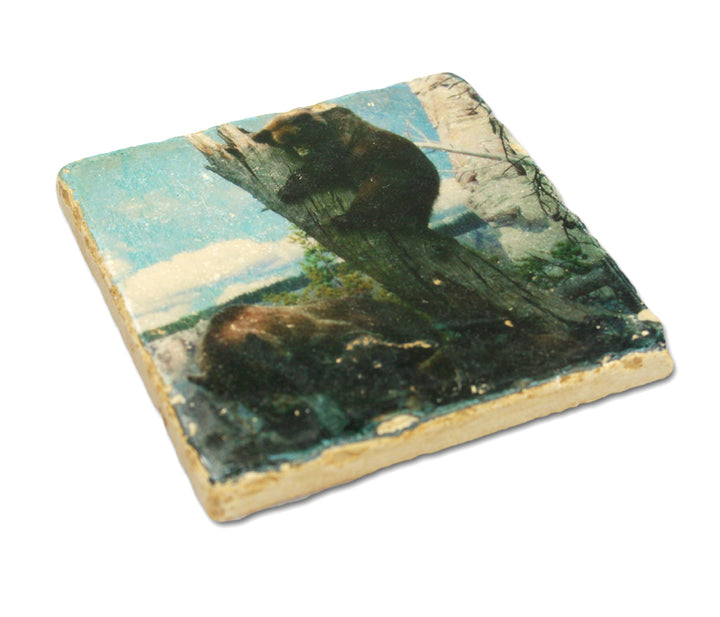 Grizzly Bear Coaster
