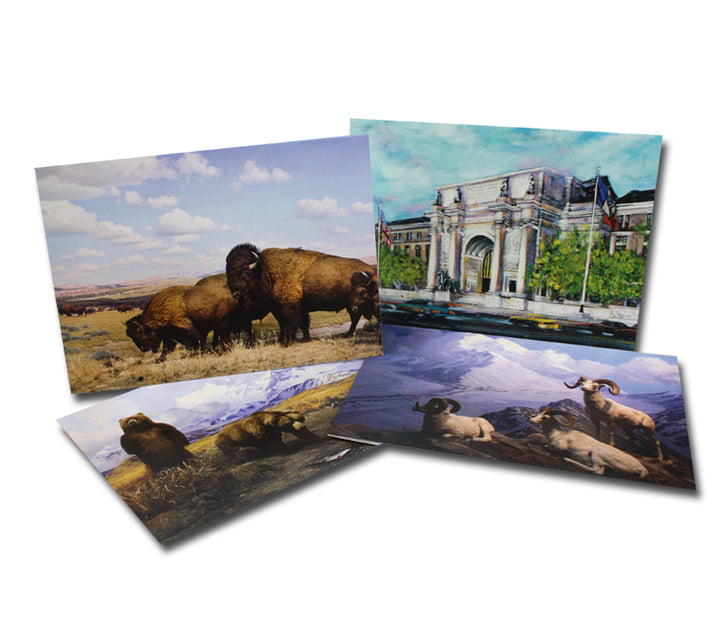 AMNH Boxed Notecards