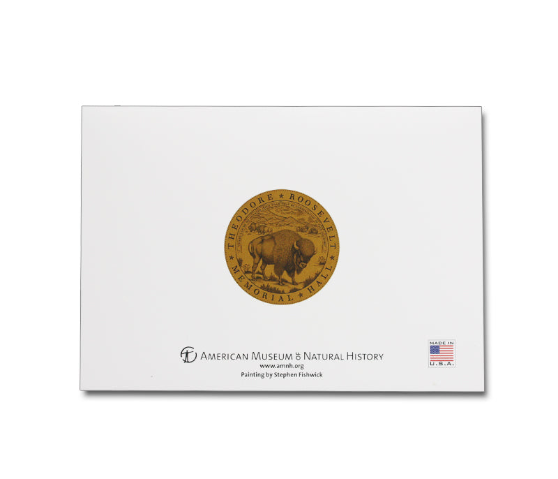 AMNH Boxed Notecards