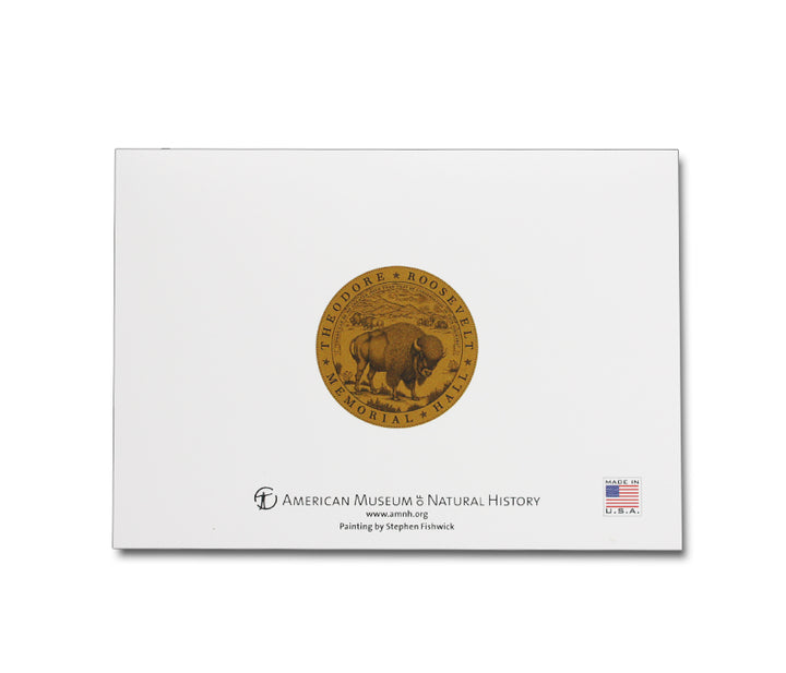 AMNH Boxed Notecards