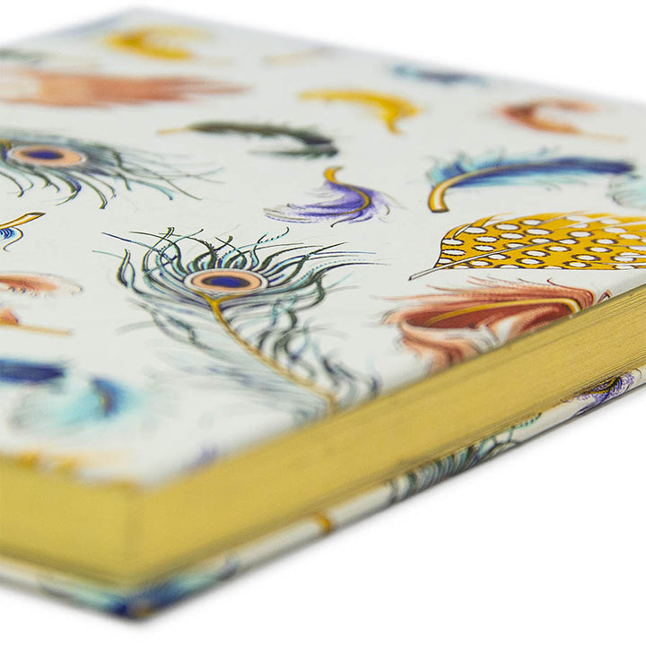Feathers Notebook
