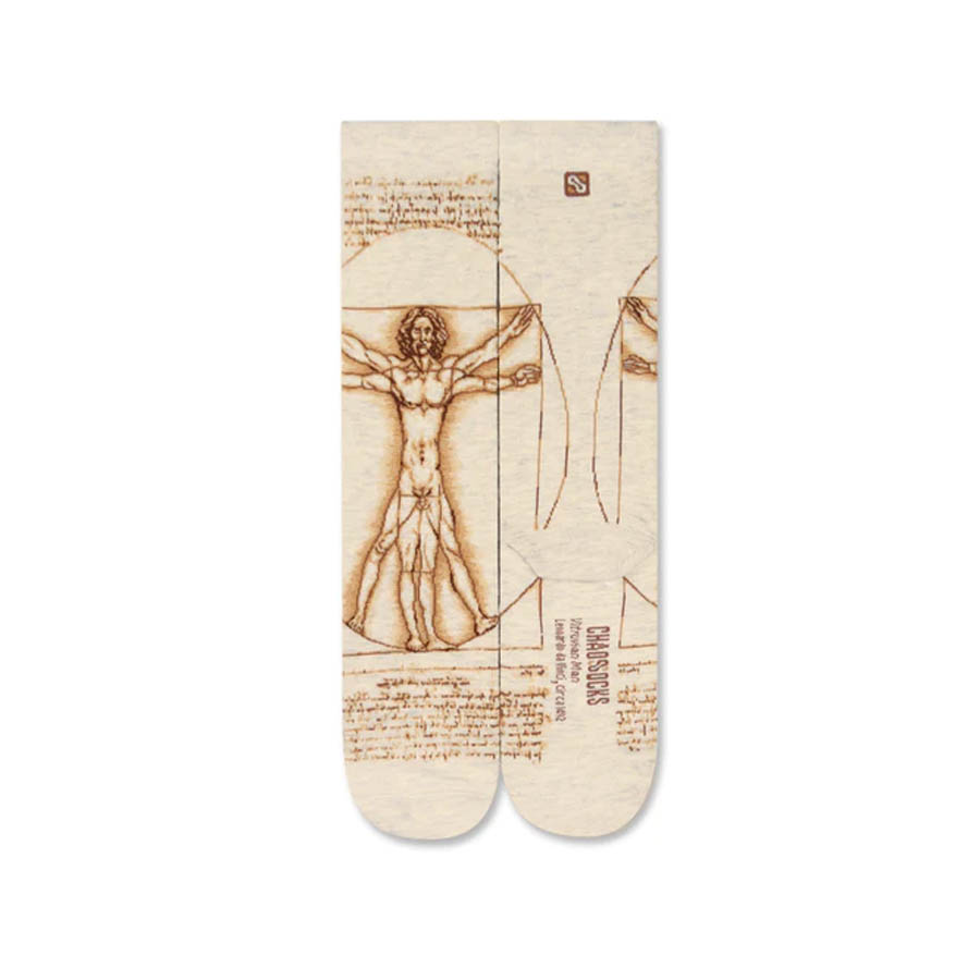 da Vinci Vitruvian Man Socks
