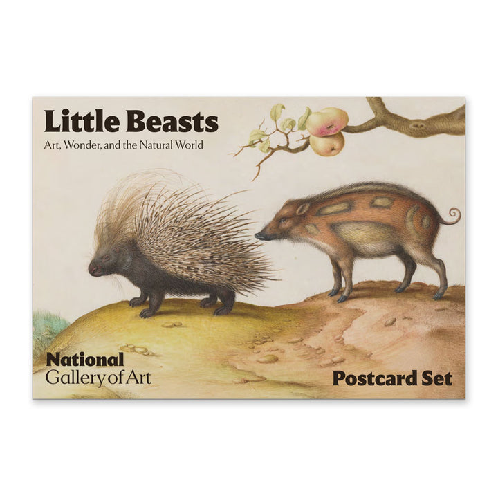 Little Beasts, Set of 6 Postcards