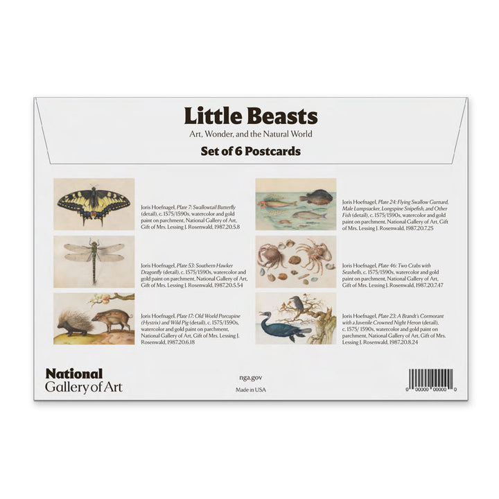 Little Beasts, Set of 6 Postcards