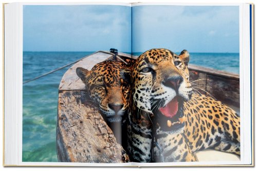 National Geographic: Around the World in 125 Years