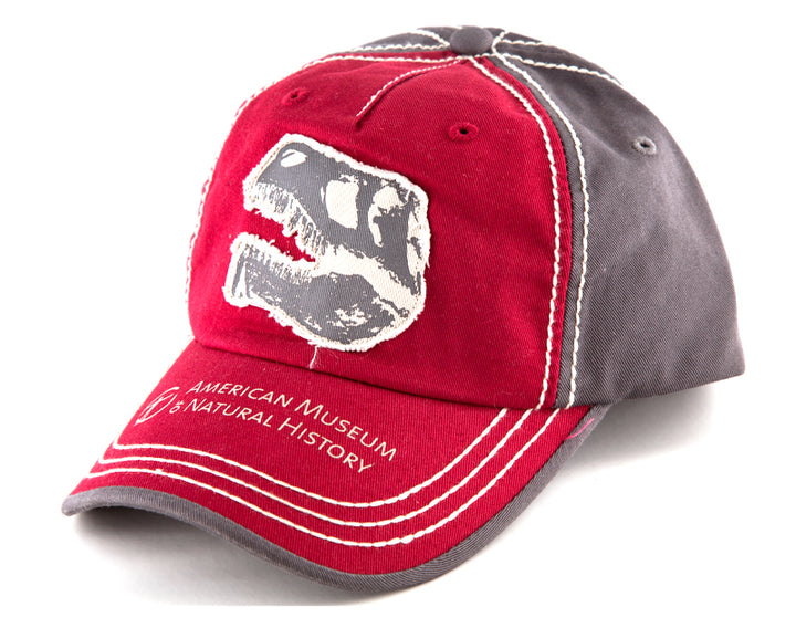Adult T. rex American Museum of Natural History Cap