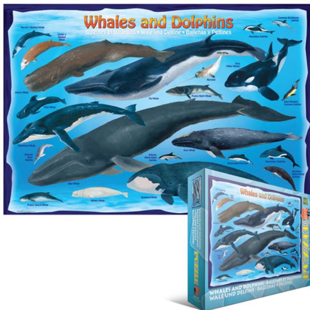 Whales and Dolphins 100 pc Puzzle