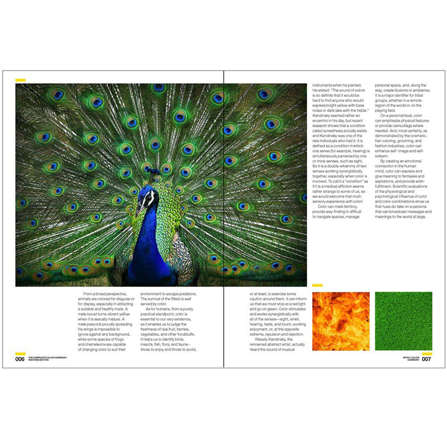 The Complete Color Harmony, Pantone Edition: Expert Color Information for Professional Results