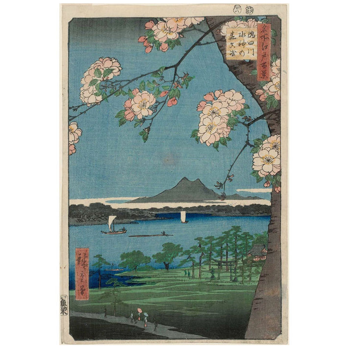 Bella Crossbody Purses