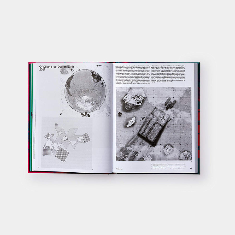 Safari Crewel Embroidered Zebra Head Cushion