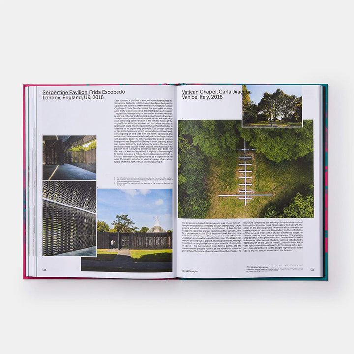 Safari Crewel Embroidered Zebra Print Cushion