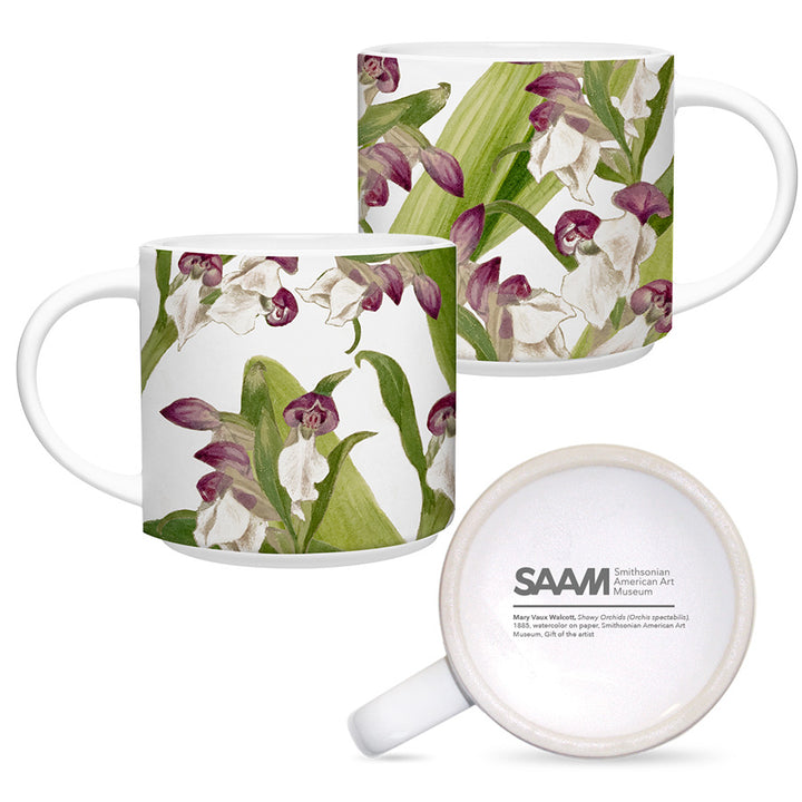 Fossil Ammonite & Alchemia Earrings