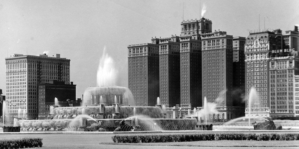 B347 (2010) Generic Revision of the Procirrina (Coleoptera: Staphylinidae: Paederinae: Pinophilini)