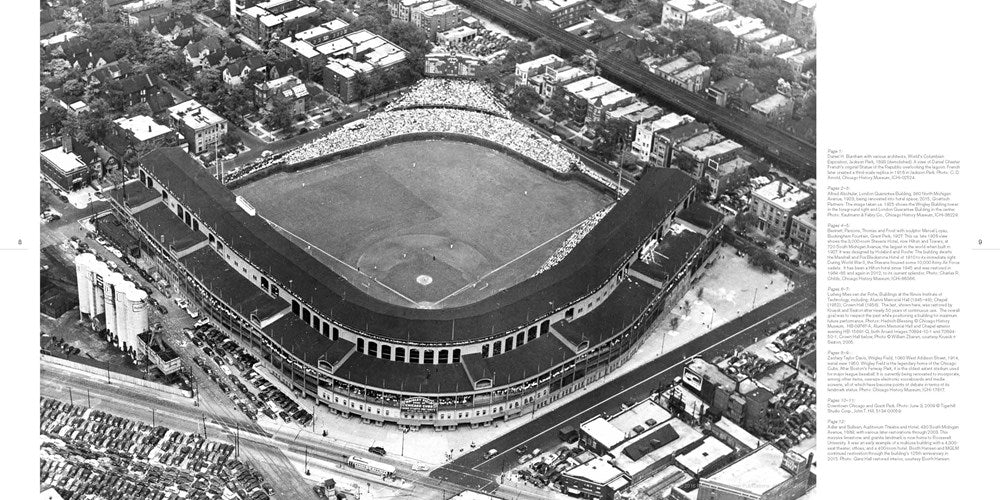 B347 (2010) Generic Revision of the Procirrina (Coleoptera: Staphylinidae: Paederinae: Pinophilini)