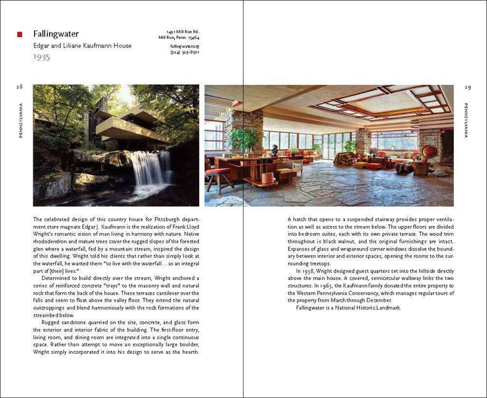 Tarantula Paperweights